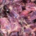赣南肌子肉吃草长大色泽鲜嫩，现宰现杀的新鲜肉
