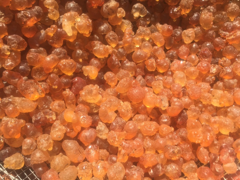 颗粒桃胶便宜卖了，数量不多