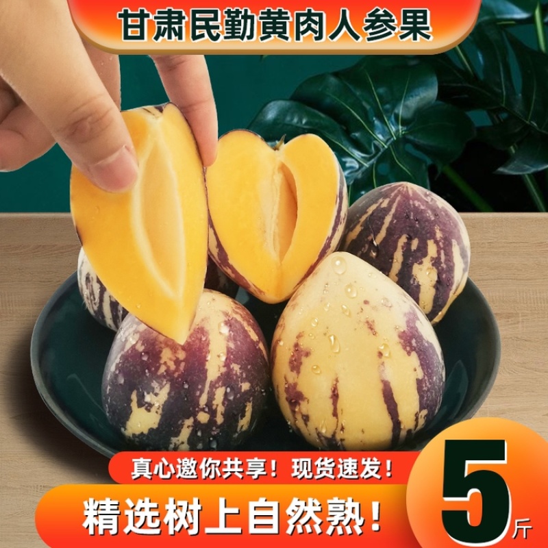 包邮民勤沙漠黄肉人参果现摘现发坏果包赔支持一件代发