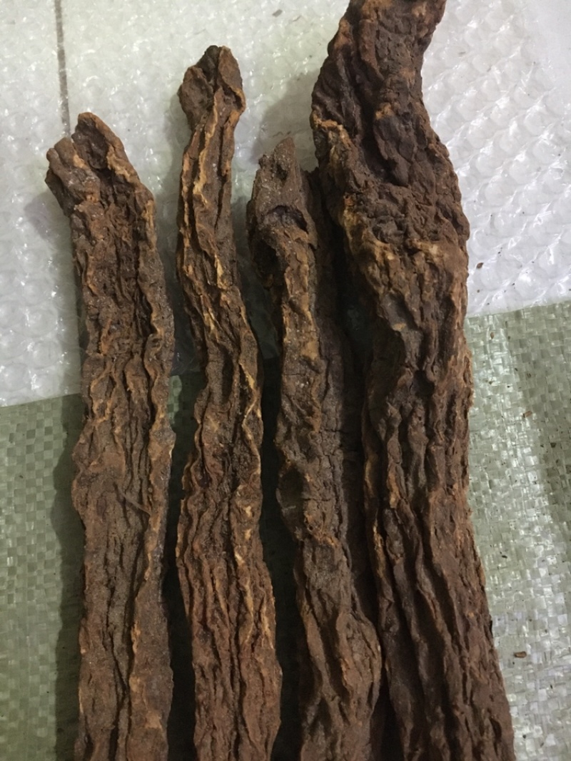 锁阳中药材锁阳锁阳个锁阳片