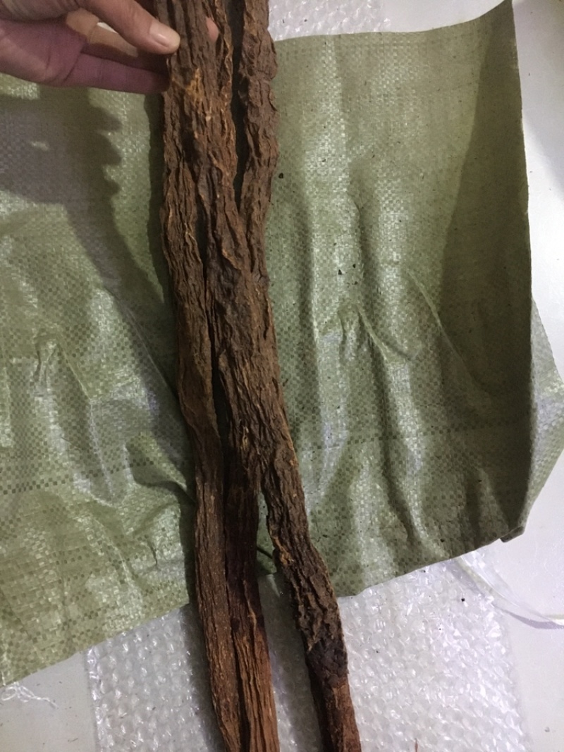 锁阳中药材锁阳锁阳个锁阳片