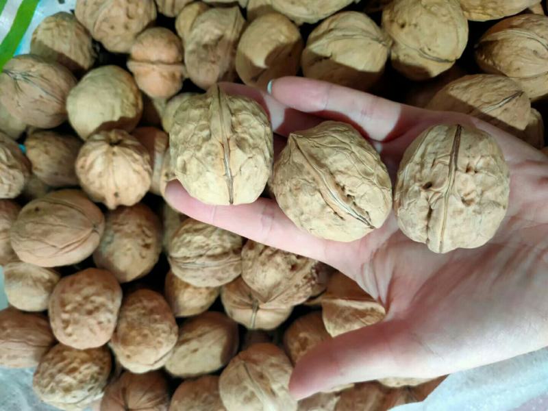 新疆核桃2020年新货一捏就开薄壳核桃整件批发