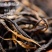 云南红茶批发经典58现货礼品茶叶大树茶叶浓香型500g散