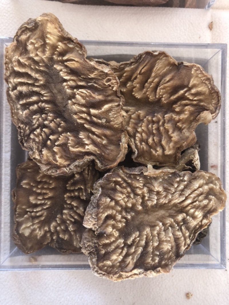 肉苁蓉鲜干片、油苁蓉切片原产地阿拉善
