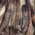 肉苁蓉鲜干片、油苁蓉切片原产地阿拉善