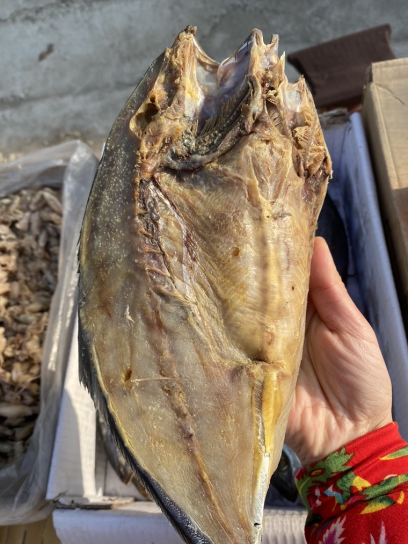 【精选】黄金鲅鱼干带盐份一箱25斤整箱批发
