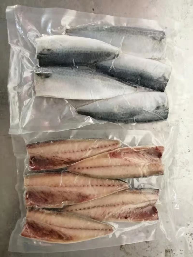 鲅鱼段食堂开片可定做整件整条加工400-500整条1