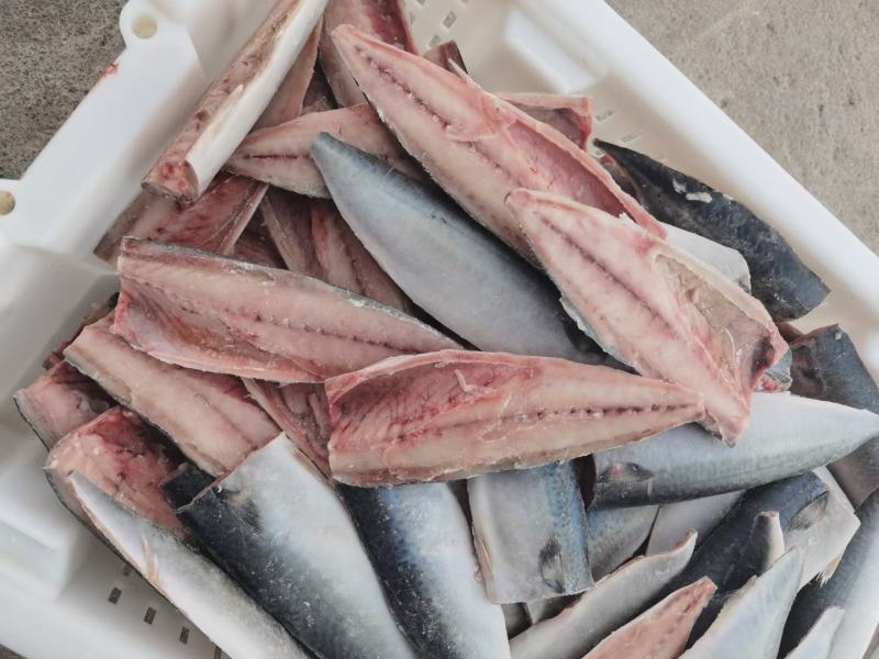 鲅鱼段食堂开片可定做整件整条加工400-500整条1