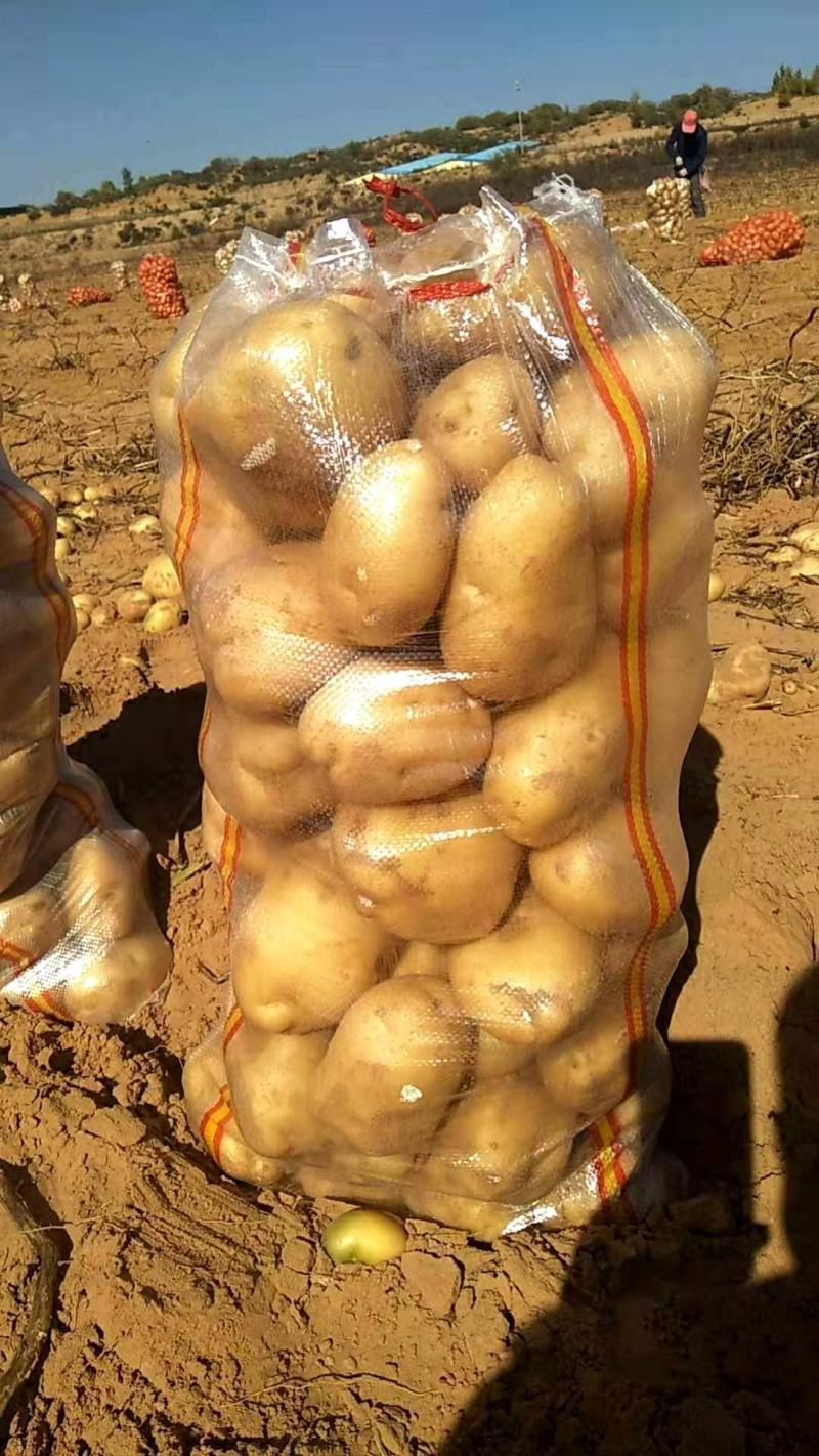 土豆陕西靖边v7土豆新鲜蔬菜【个大干净货美】土豆批发