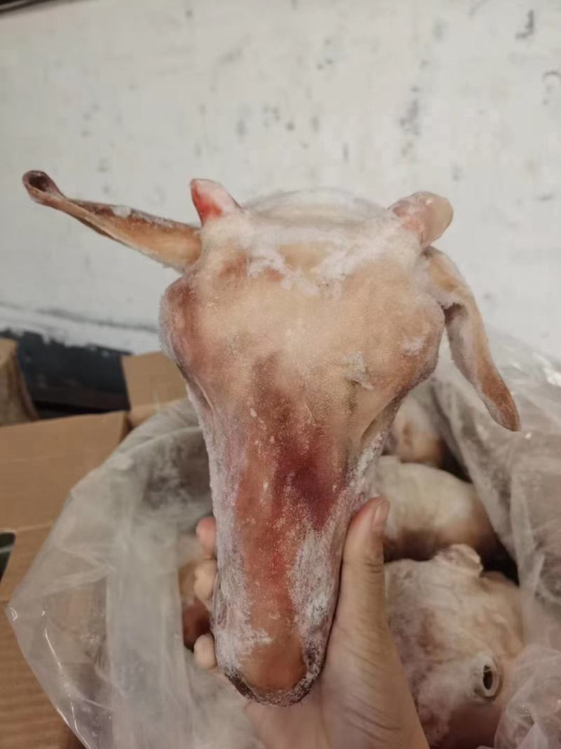内蒙羊头，一道硬菜上桌了
