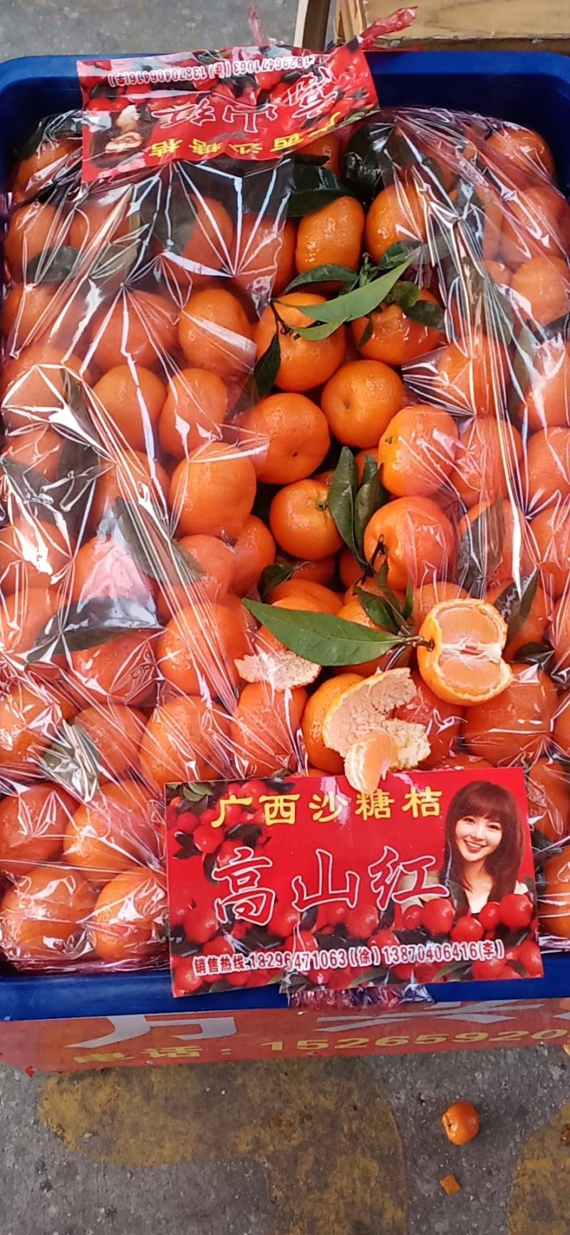 浙江精品叶橘精品中的精品