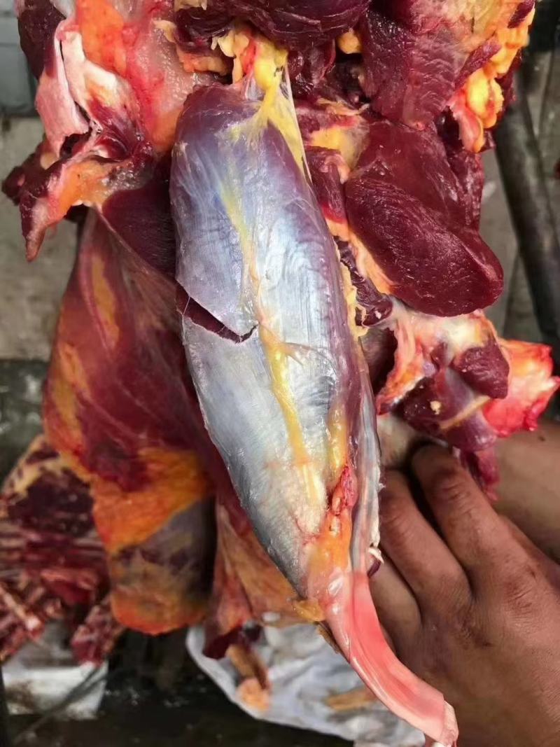 黑牦牛肉.......