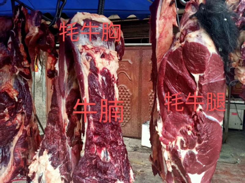 黑牦牛肉.......