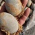 微山湖糖心无铅松花蛋冬季火爆产品