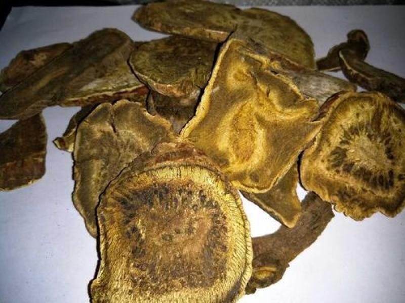供应大黄马蹄大黄干货切片，烘干无硫大黄