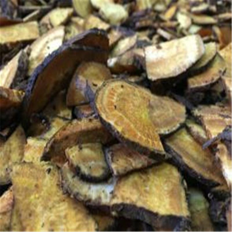 供应大黄马蹄大黄干货切片，烘干无硫大黄