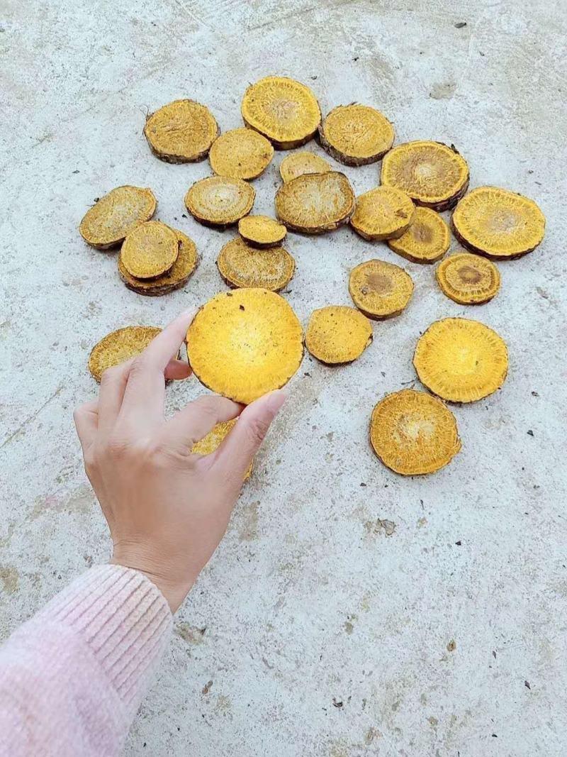 供应大黄马蹄大黄干货切片，烘干无硫大黄