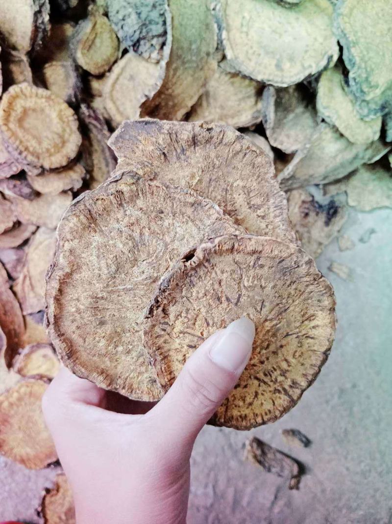 供应大黄马蹄大黄干货切片，烘干无硫大黄