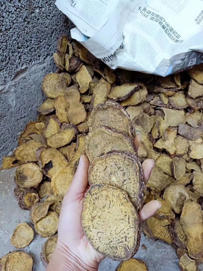 供应大黄马蹄大黄干货切片，烘干无硫大黄