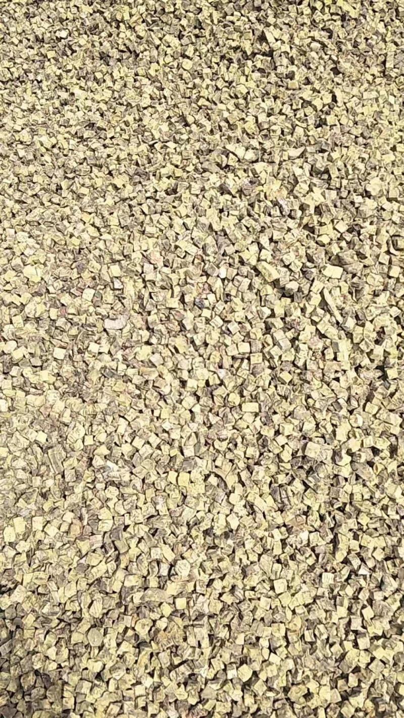 供应大黄马蹄大黄干货切片，烘干无硫大黄