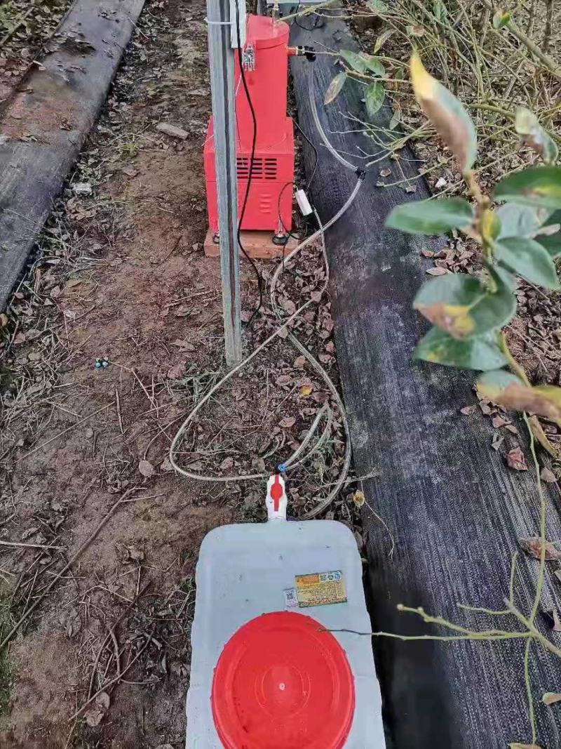 大棚二氧化碳发生器二氧化碳增加设备大棚包邮