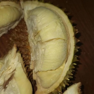金枕液氮泰国金枕榴莲A果皮博香甜软弱批发
