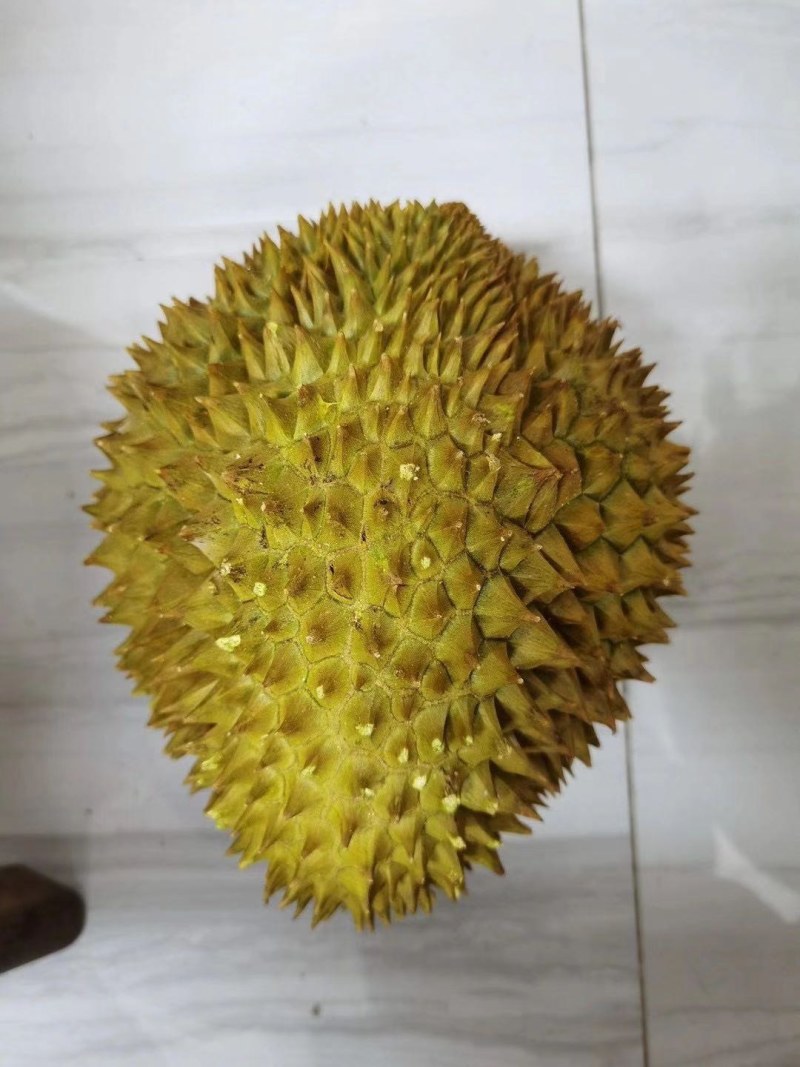 金枕液氮泰国金枕榴莲A果皮博香甜软弱批发