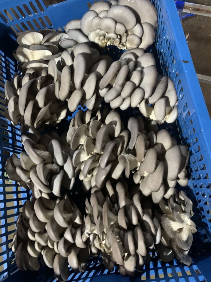 上海基地直发江浙沪当天直达招各大区域代理