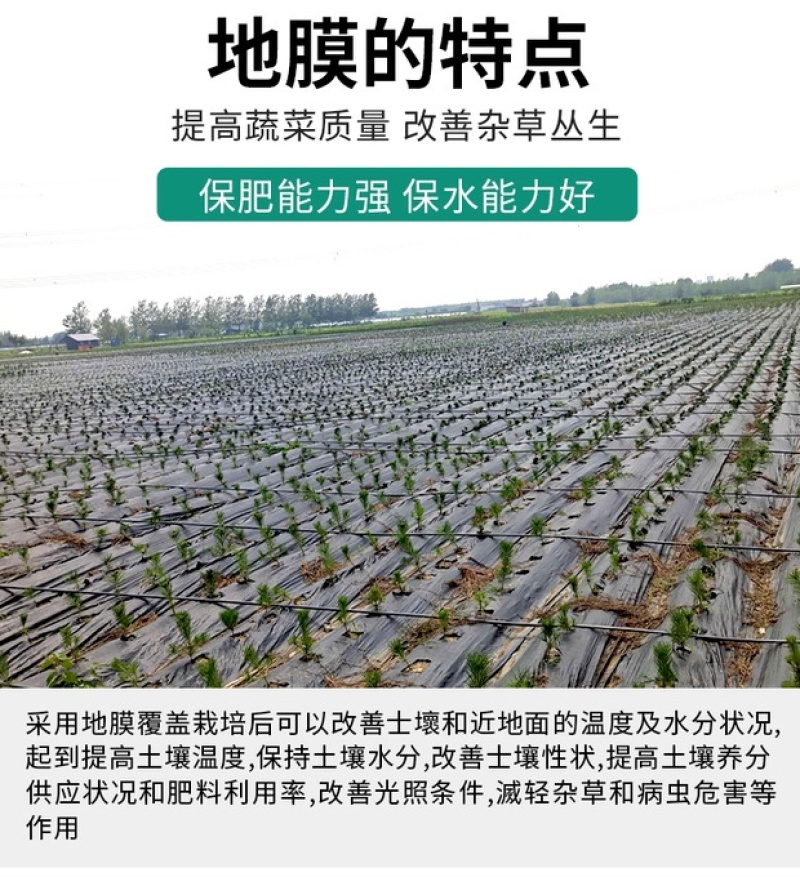农用地膜保湿保温防草地膜白膜