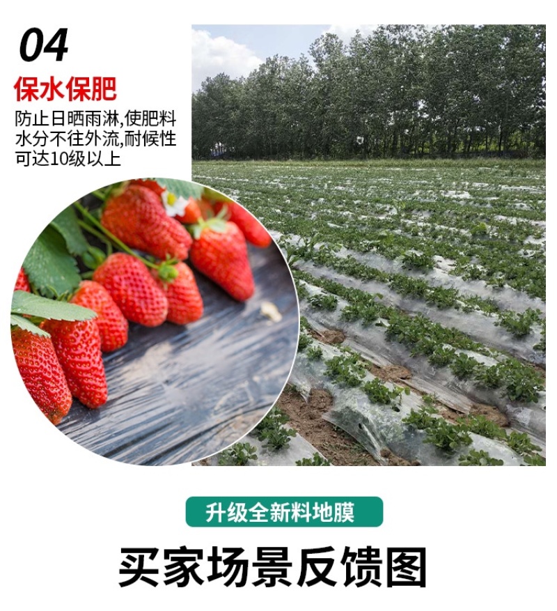 农用地膜保湿保温防草地膜白膜