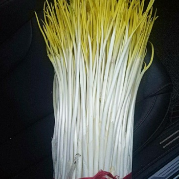 产地直达……物美价廉