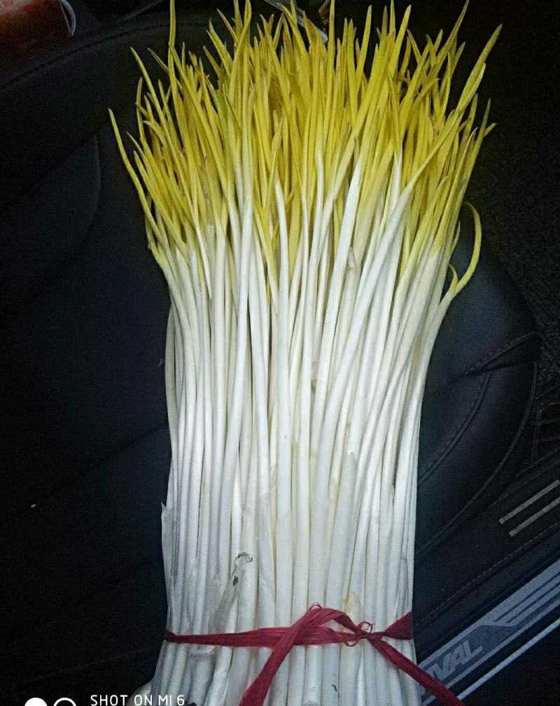 产地直达……物美价廉