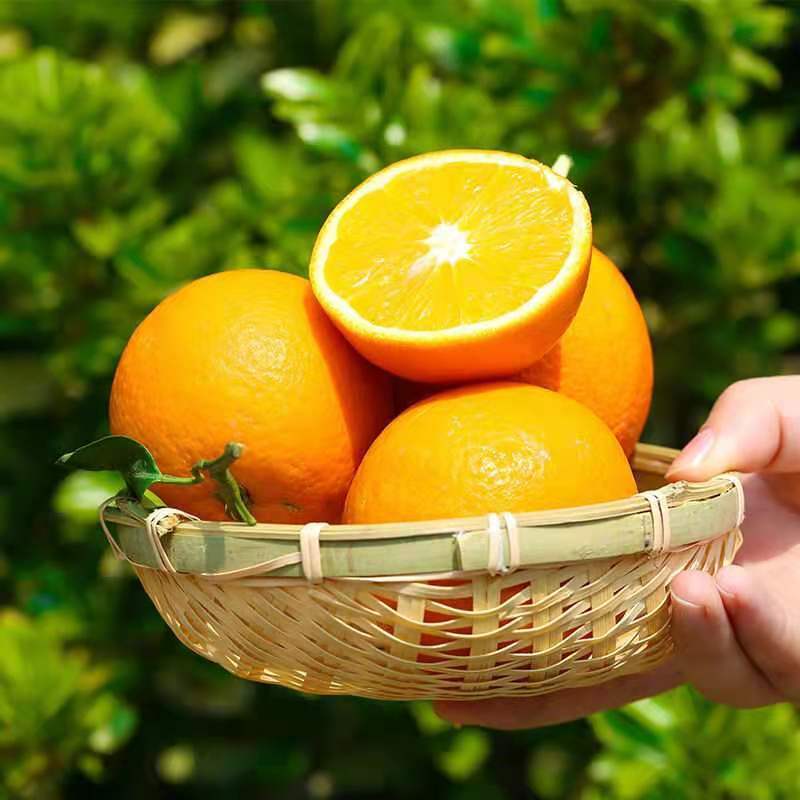 【源头货源】纽荷尔，长虹脐橙，皮毛漂亮果园看货诚信经营