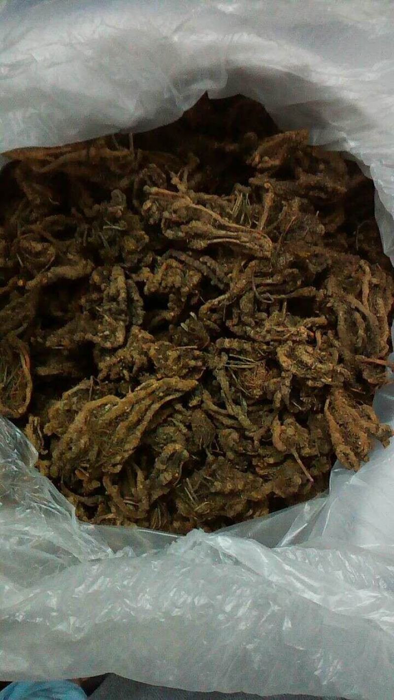 供应黄连鸡爪连黄连川连黄连干货无硫统装黄连