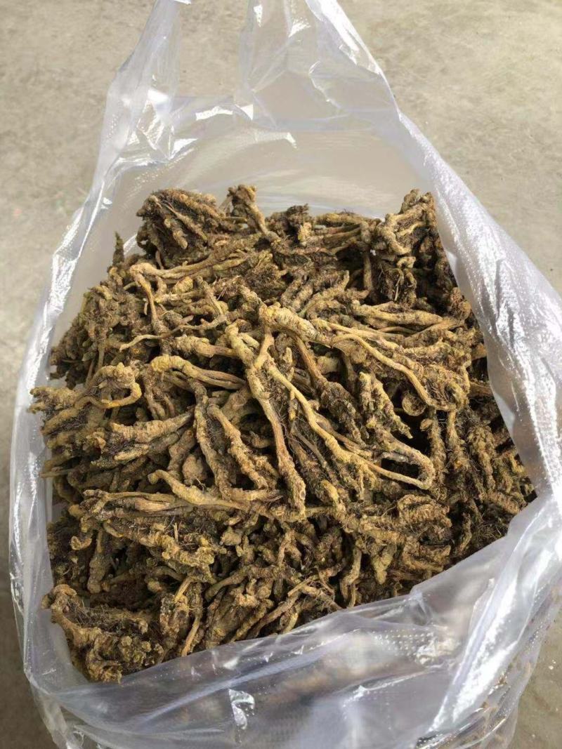 供应黄连鸡爪连黄连川连黄连干货无硫统装黄连