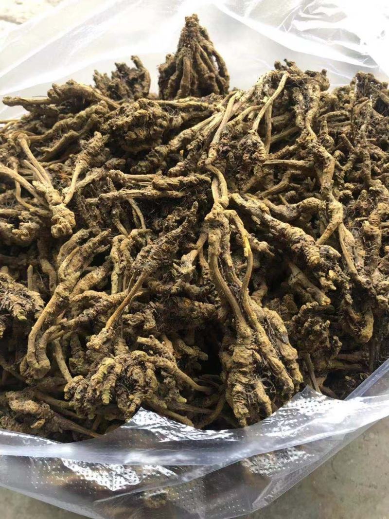 供应黄连鸡爪连黄连川连黄连干货无硫统装黄连