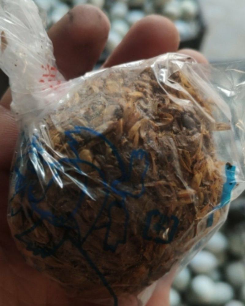 【松花蛋】无铅松花蛋雪花松花蛋规格齐全对接电商商超