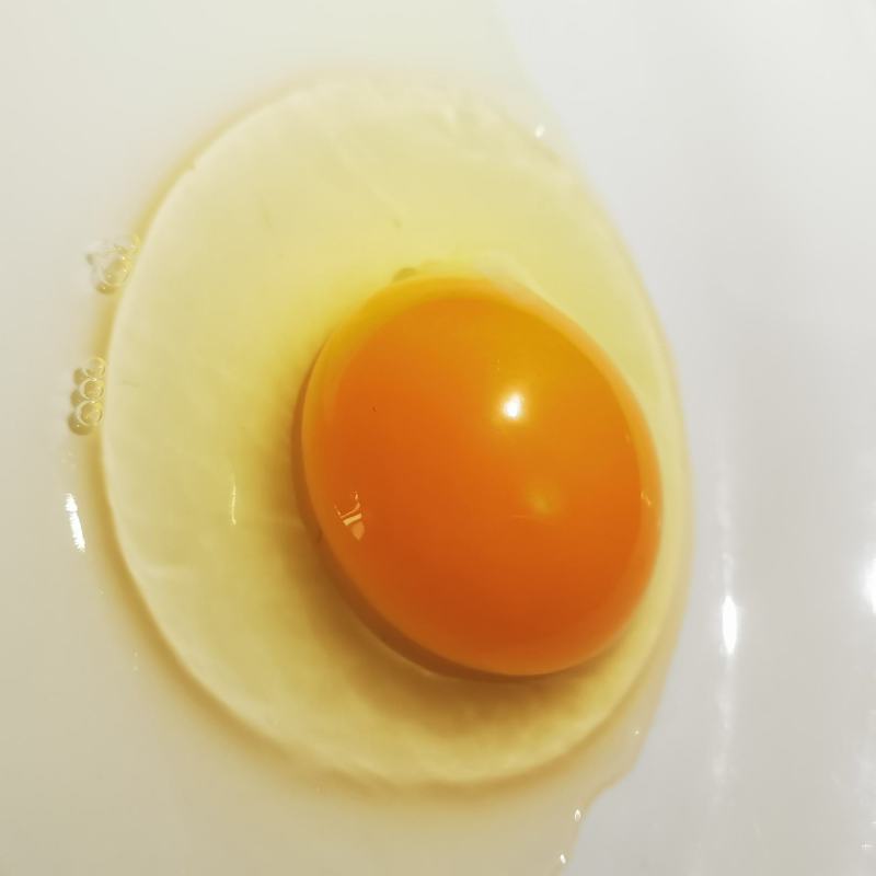 绿壳鸡蛋360枚一箱郑州地区发货日产30件