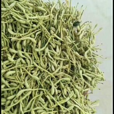 金银花色青花山东平邑地产，已色选无黄条,头茬包含量