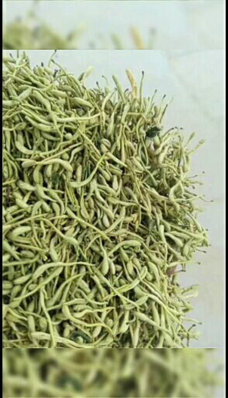 金银花色青花山东平邑地产，已色选无黄条,头茬包含量