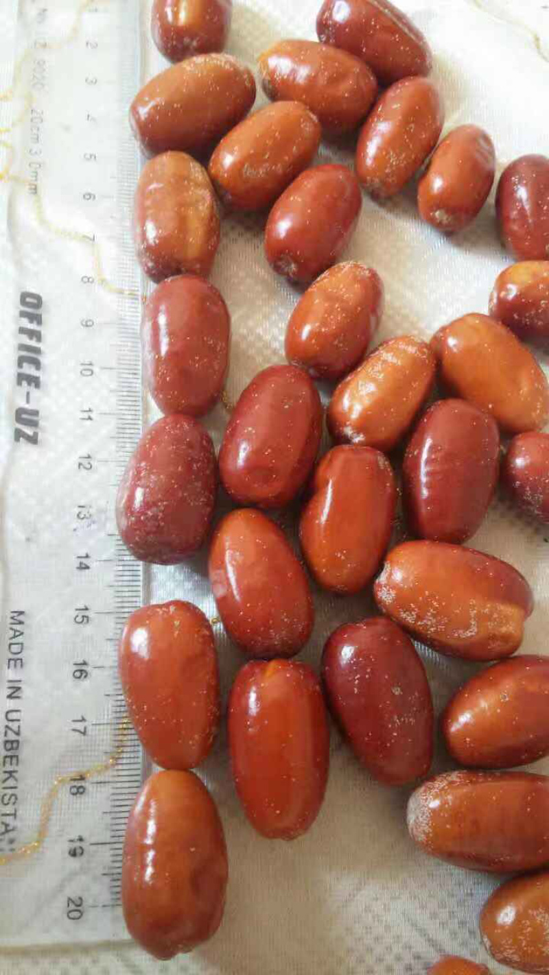 沙枣进口沙枣质量好20吨现货