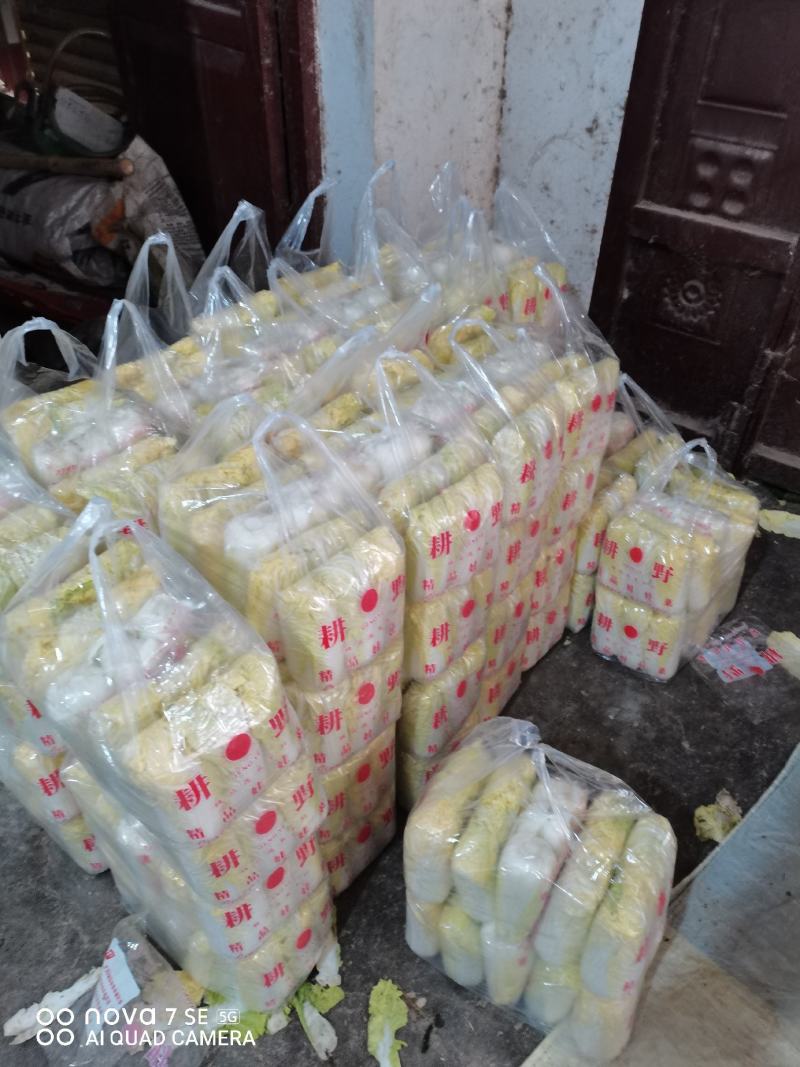娃娃菜，半毛菜、大娃净菜大量上市，产地直销，一手货源
