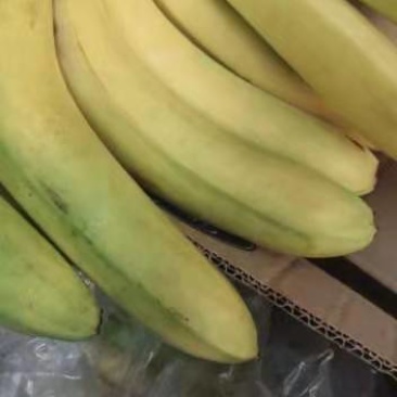 明天有特价活动三把焦