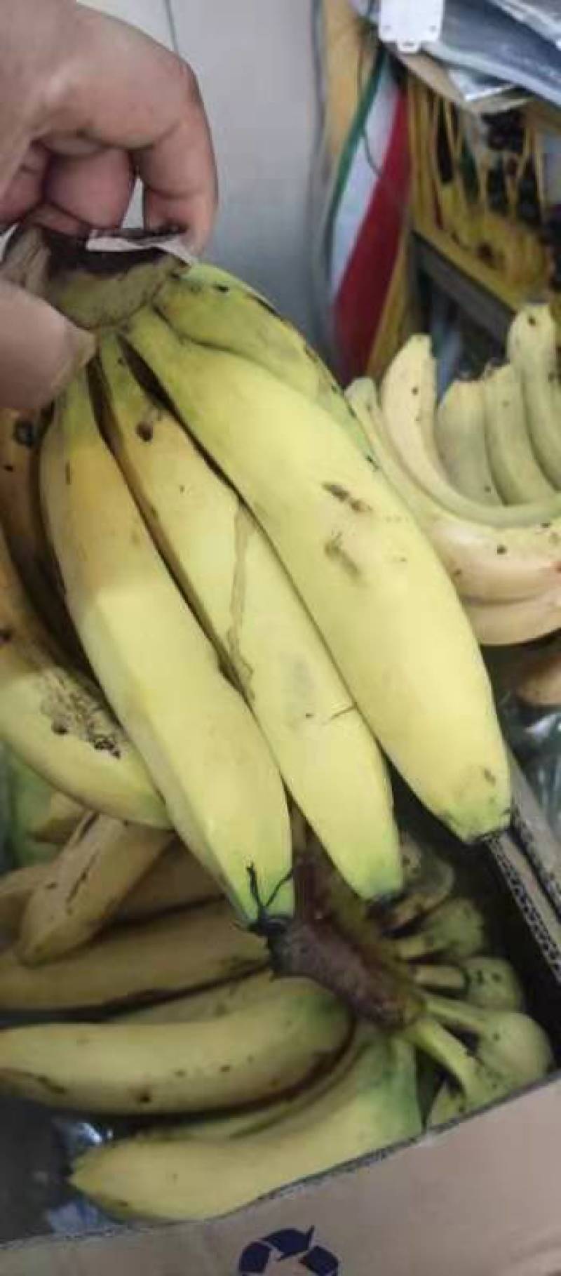 明天有特价活动三把焦