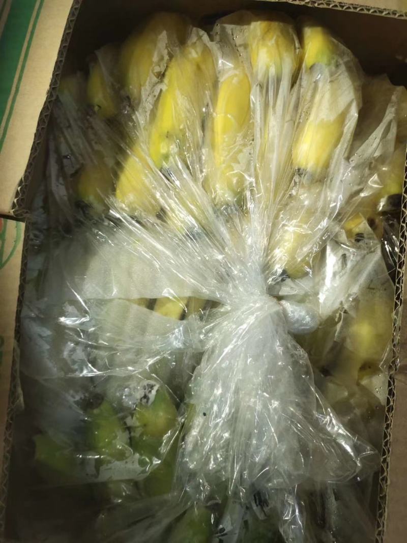 明天有特价活动三把焦