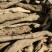 陕西秦岭南野生鲜葛根