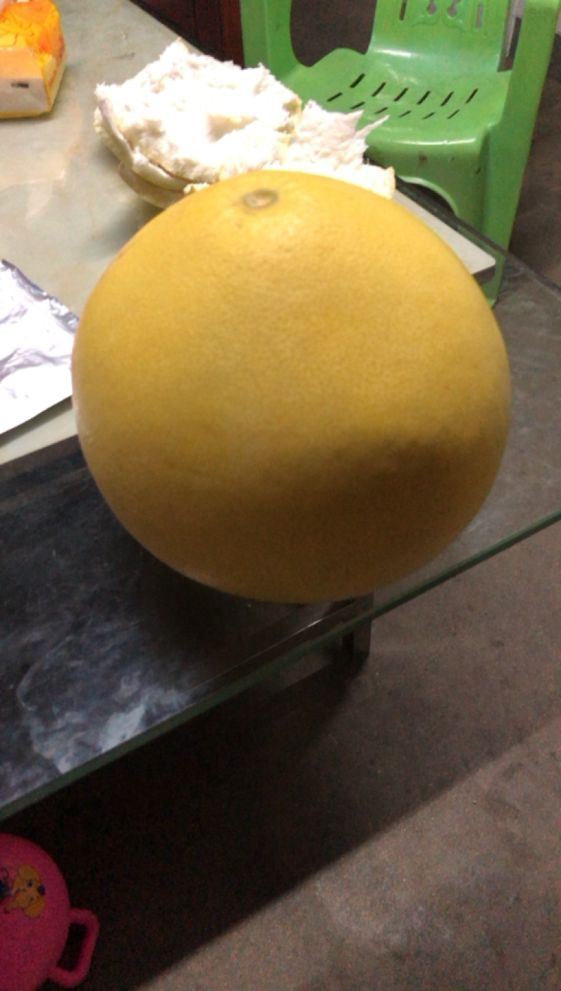 福建平和蜜柚白柚大量上市