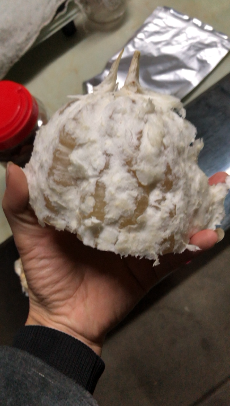 福建平和蜜柚白柚大量上市