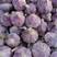 山东金乡紫皮太空蒜，常年供应，代发全国市场，冷库出租，