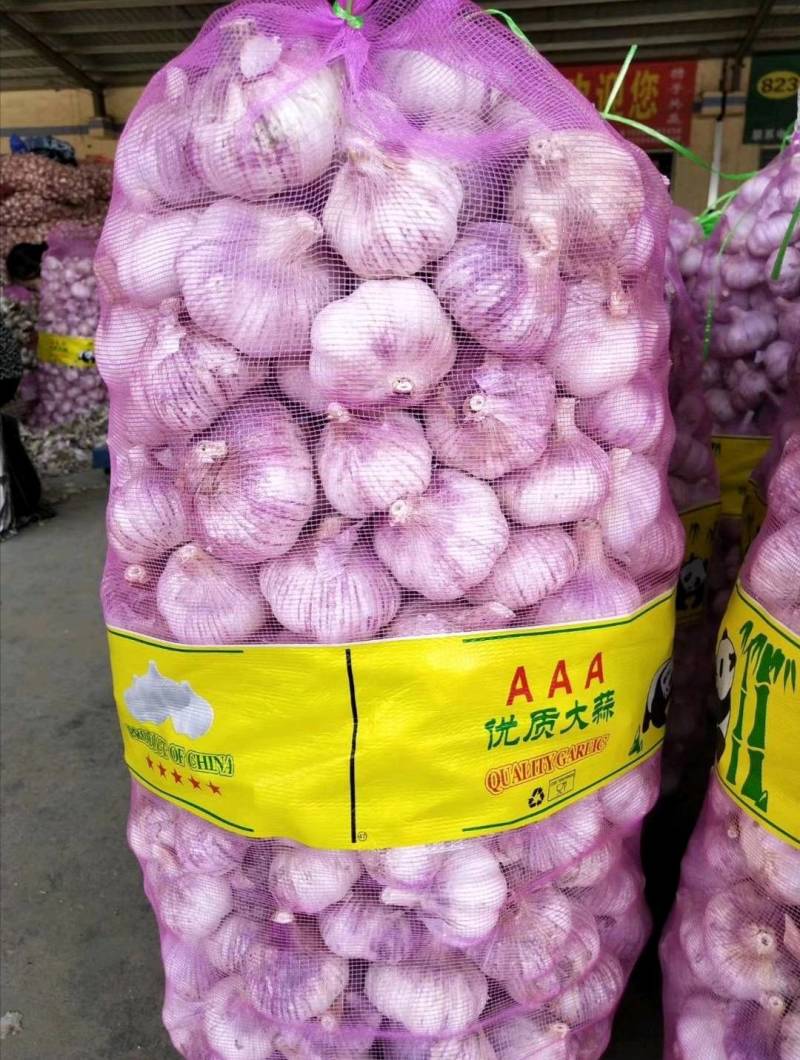 山东精品金乡大蒜，专业从事大蒜，超市电商专供，冷库出租。